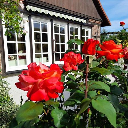 Ferienhaus Gartower See Buitenkant foto