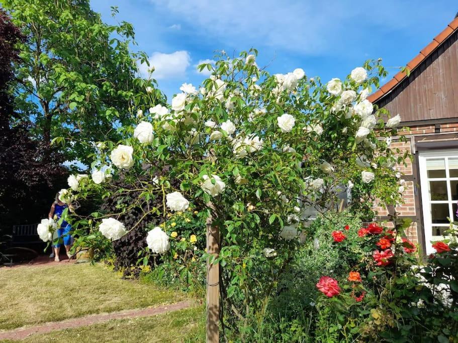 Ferienhaus Gartower See Buitenkant foto