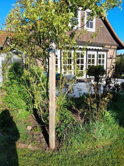Ferienhaus Gartower See Buitenkant foto