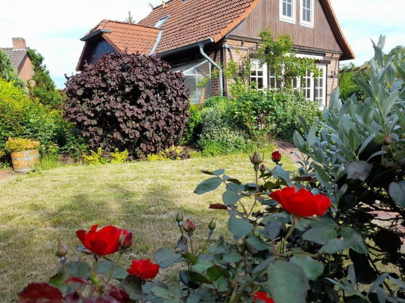 Ferienhaus Gartower See Buitenkant foto